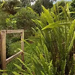 Casa Catarina *
