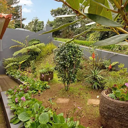 Сasa de vacaciones Casa Catarina Santo Antonio da Serra