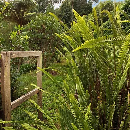 Casa Catarina * Santo Antonio da Serra