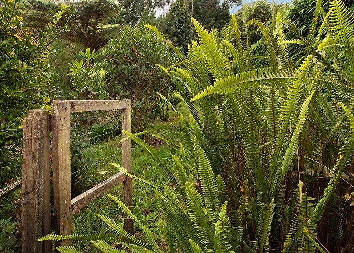 Casa Catarina * Santo Antonio da Serra